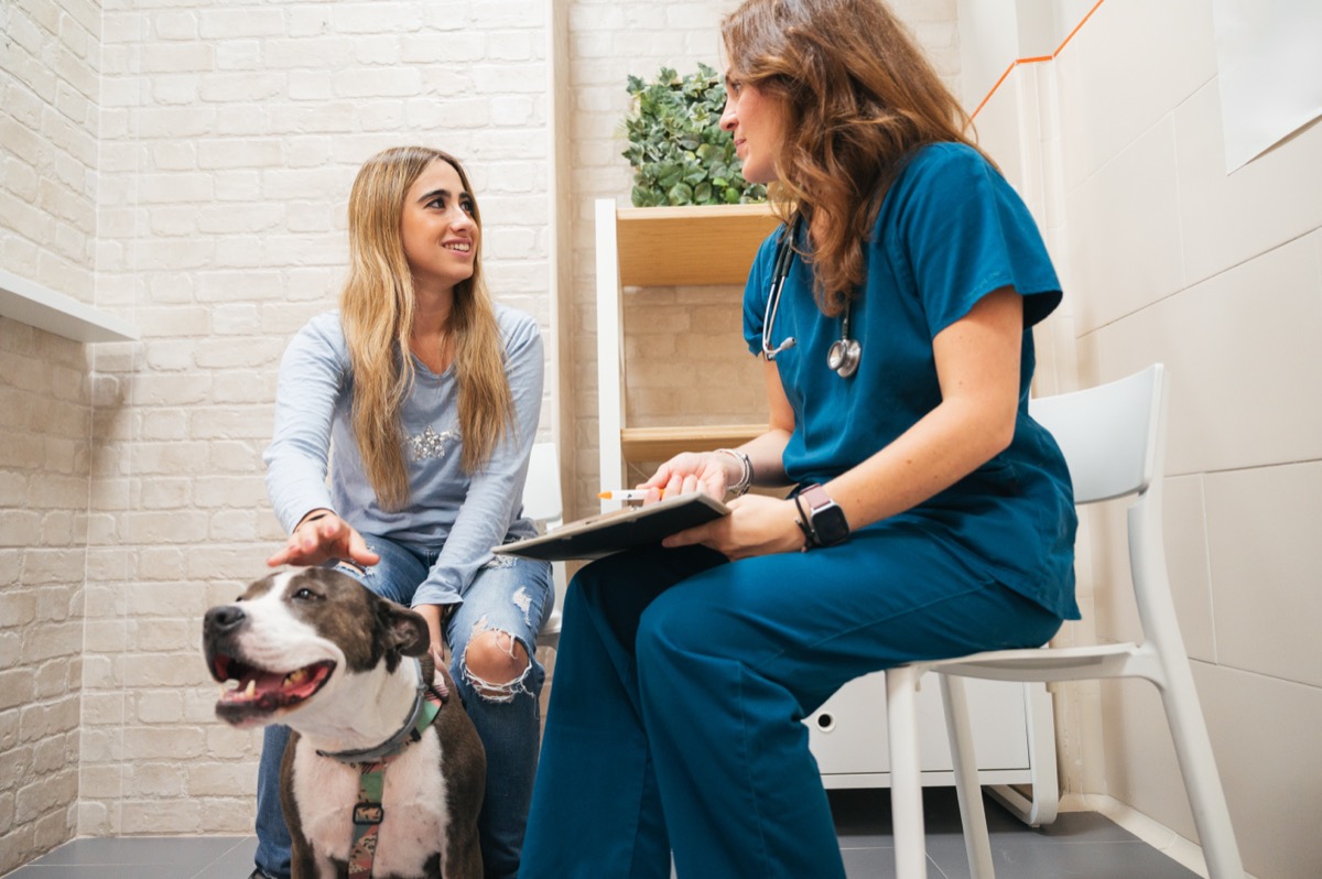Atención veterinaria para mascotas